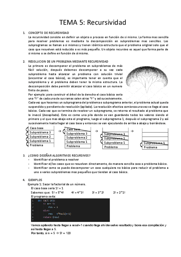 Miniatura del documento Tema 5 recursividad.pdf