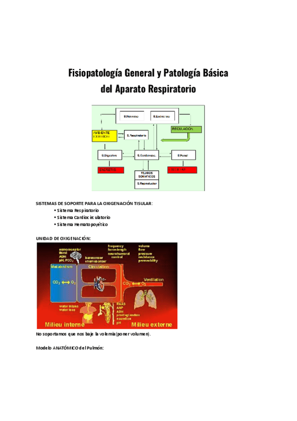 Miniatura del documento Fisiopatologia-General-y-Patologia-Basica-del-Aparato-Respiratorio.pdf