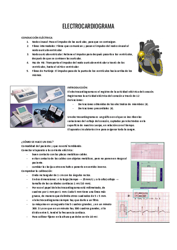 Miniatura del documento Electrocardiograma.pdf