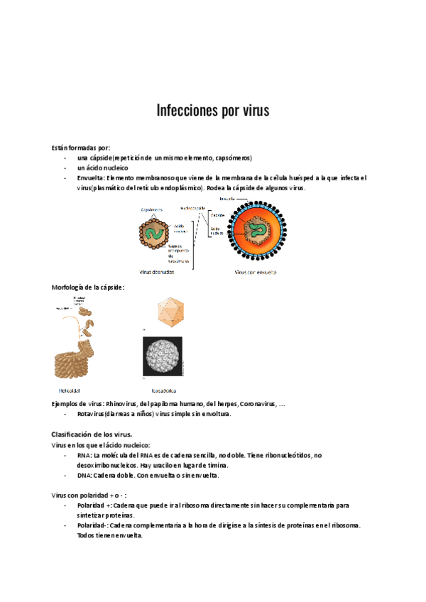 Miniatura del documento Infecciones-por-virus.pdf