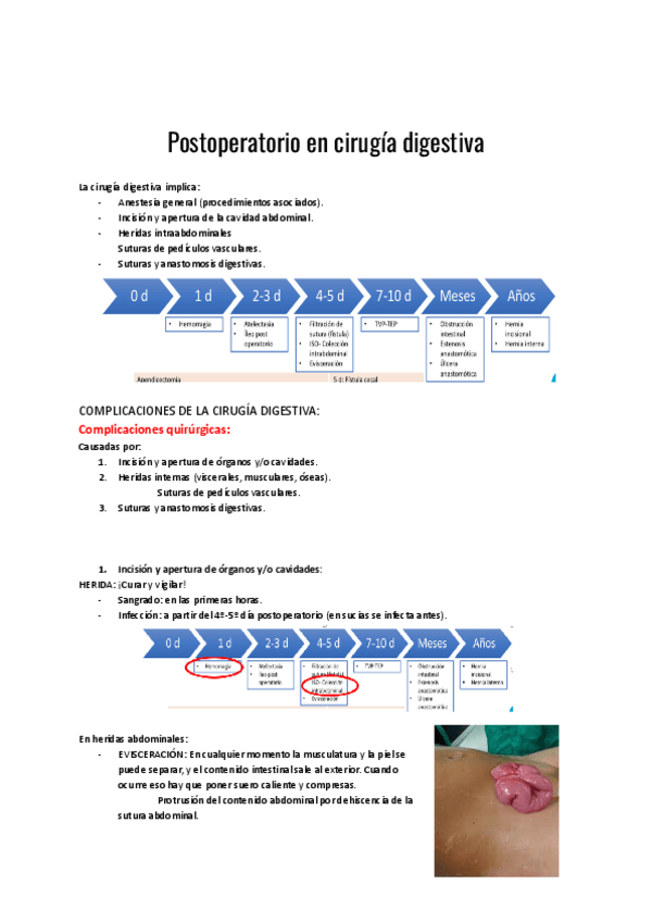 Miniatura del documento Postoperatorio-en-cirugia-digestiva.pdf