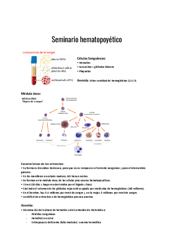 Miniatura del documento Seminario-hematopoyetico.pdf