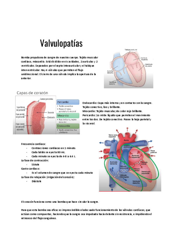 Miniatura del documento Valvulopatias.pdf