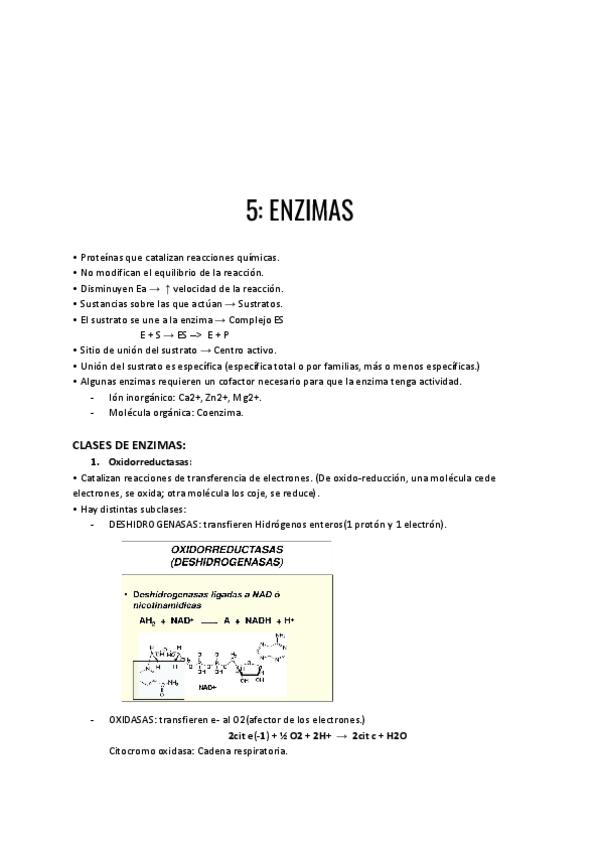 Miniatura del documento Enzimas.pdf