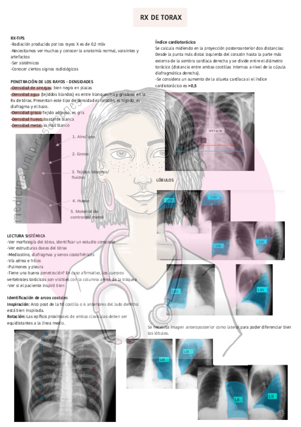 Miniatura del documento RX-de-torax.pdf