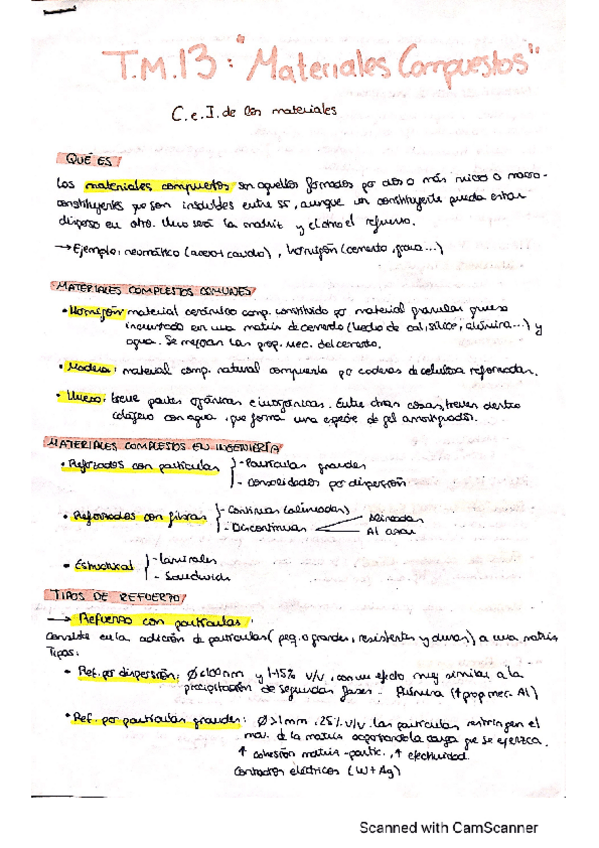 Miniatura del documento Teoria-Tema-13.pdf