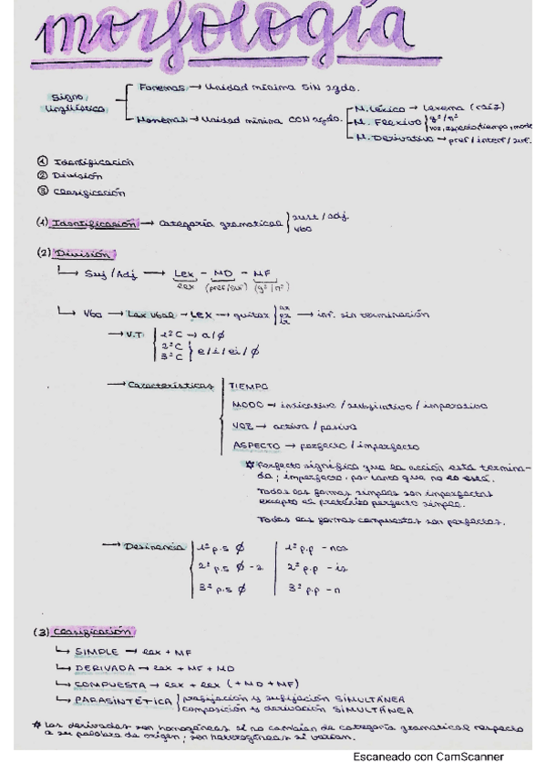 Miniatura del documento Morfologia-y-Sintaxis.pdf