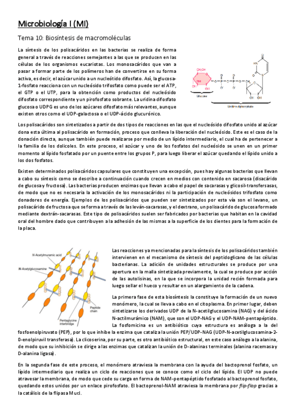 Miniatura del documento Apuntes-Segundo-Parcial-MI.pdf