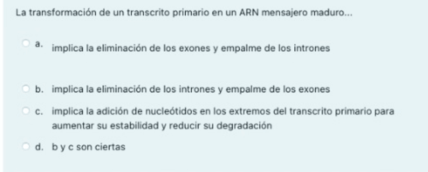 Miniatura del documento Primer-parcial-neuro-I-2021-2022.pdf