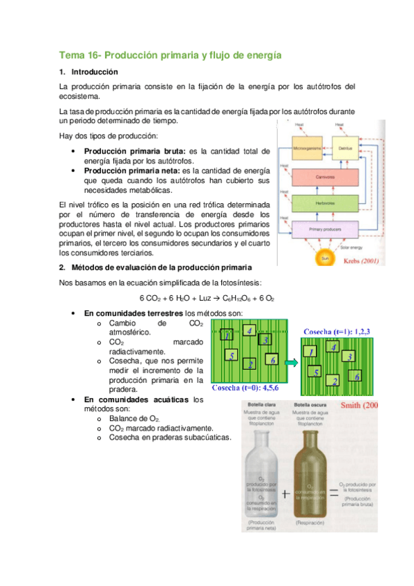 Miniatura del documento Tema-16-Produccion-primaria-y-flujo-de-energia.pdf