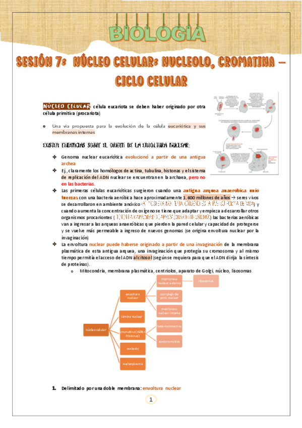 Miniatura del documento DEGRABADA-DE-BIOLOGIA.pdf