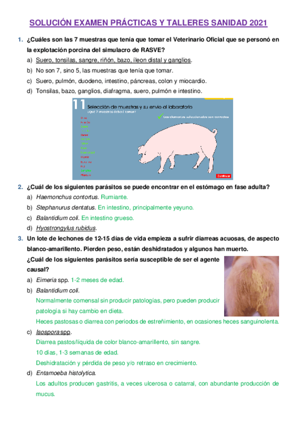 Miniatura del documento SOLUCION-EXAMEN-PRACTICAS-Y-TALLERES-SANIDAD-2021.pdf