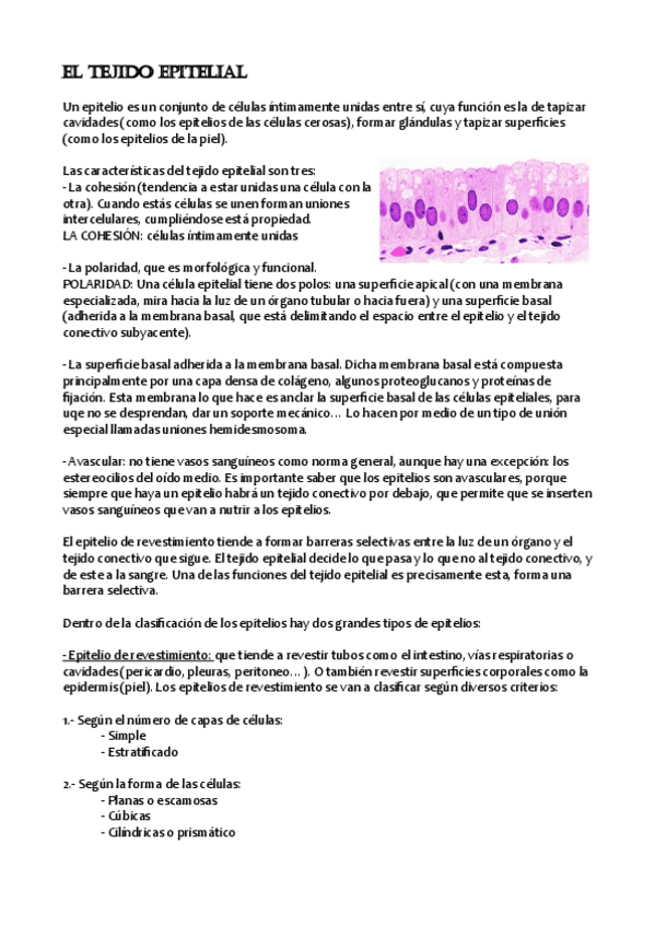 Miniatura del documento Prep02.pdf