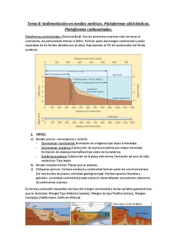 Miniatura del documento tema-8-og.pdf