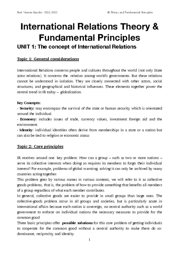 Miniatura del documento Apuntes-Theory-and-Fundamental-Principles-of-IR.pdf