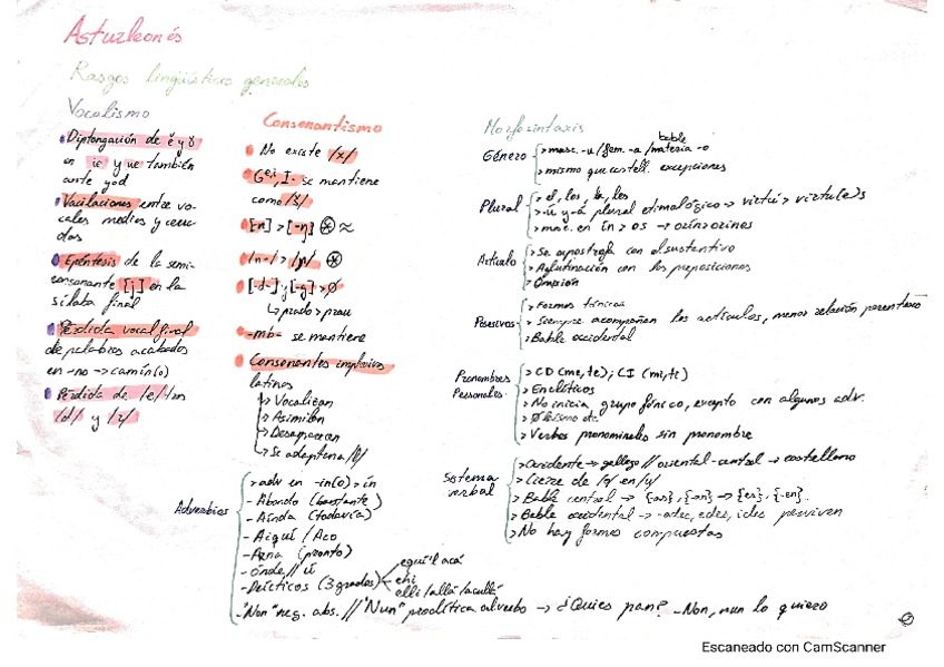 Miniatura del documento Asturleones.pdf