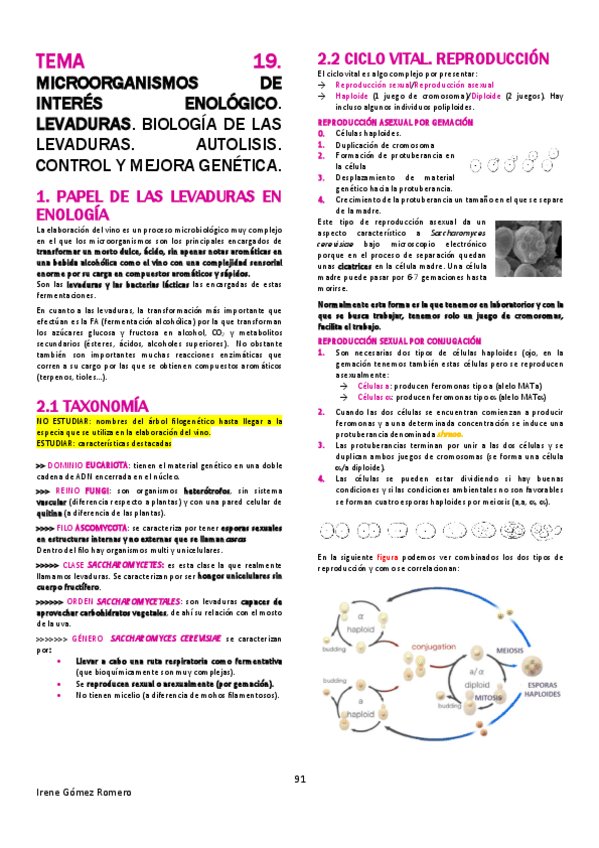 Miniatura del documento TEBA-T19.pdf