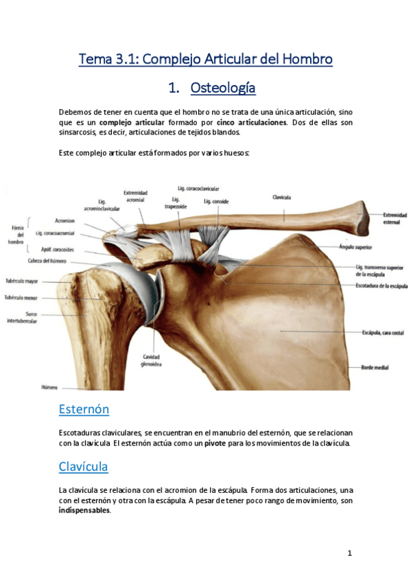 Miniatura del documento Tema-3.pdf