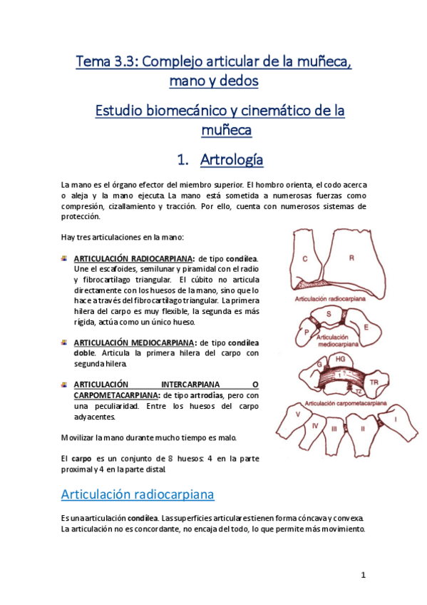 Miniatura del documento Tema-3.pdf