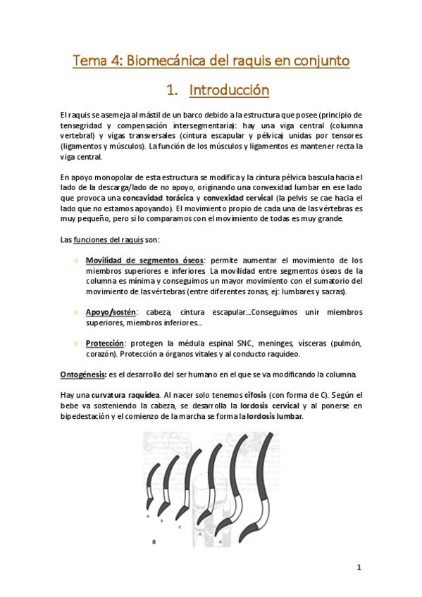 Miniatura del documento Tema-4-Raquis.pdf