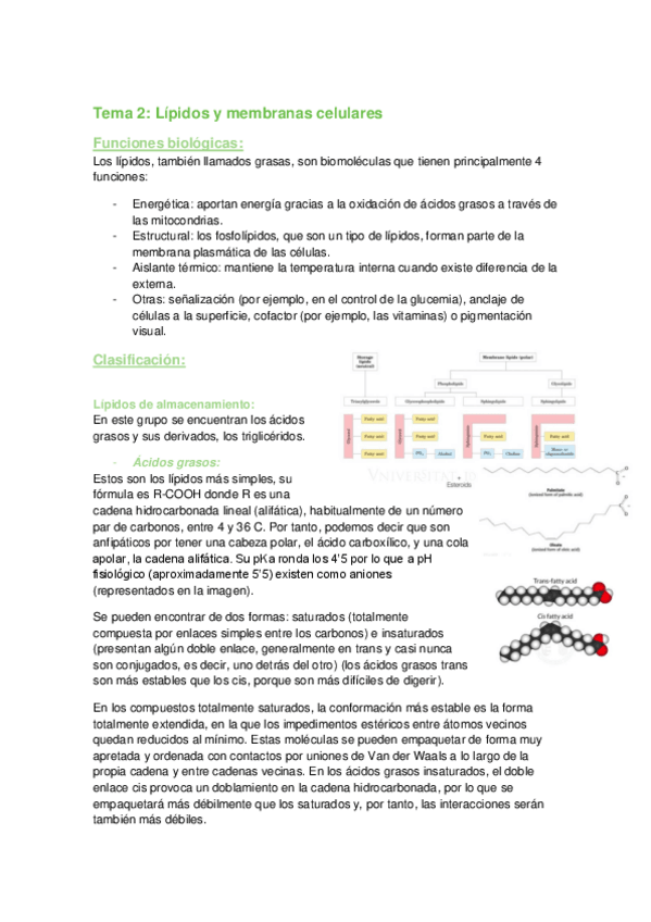 Miniatura del documento tema-2.pdf
