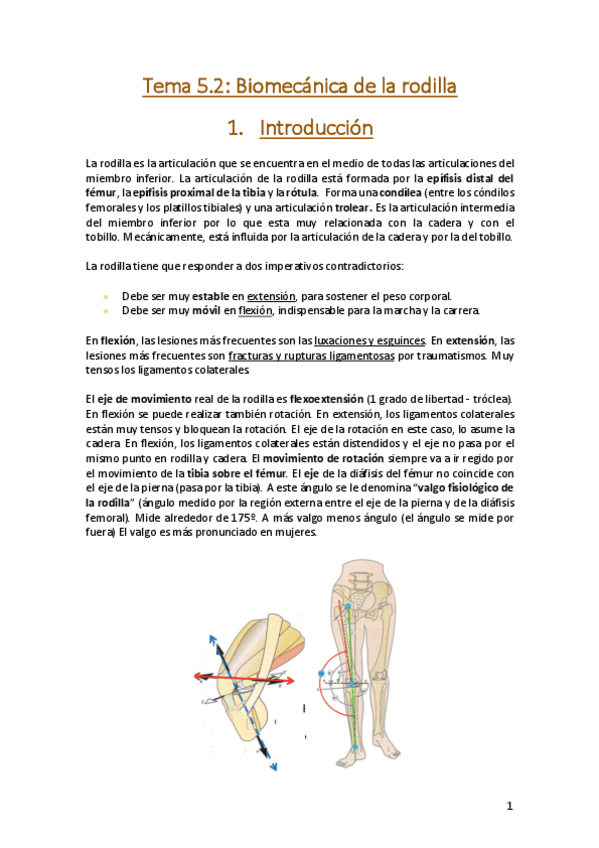 Miniatura del documento Tema-5.pdf