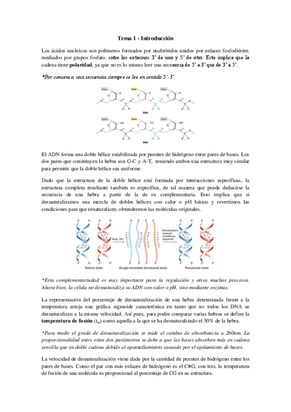 Miniatura del documento Tema 1 - Introducción.pdf