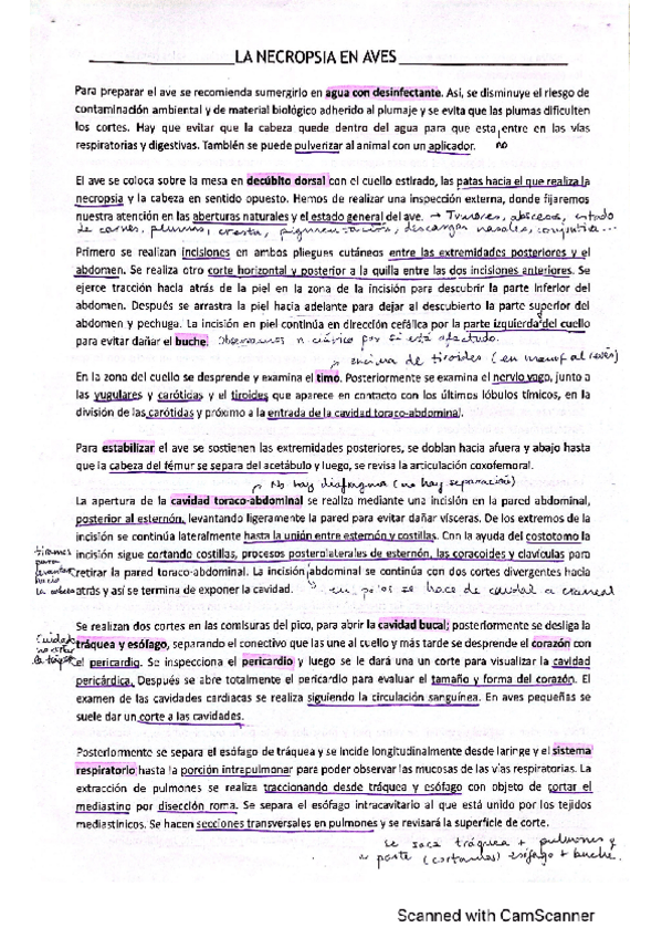 Miniatura del documento Necropsia-aves.pdf