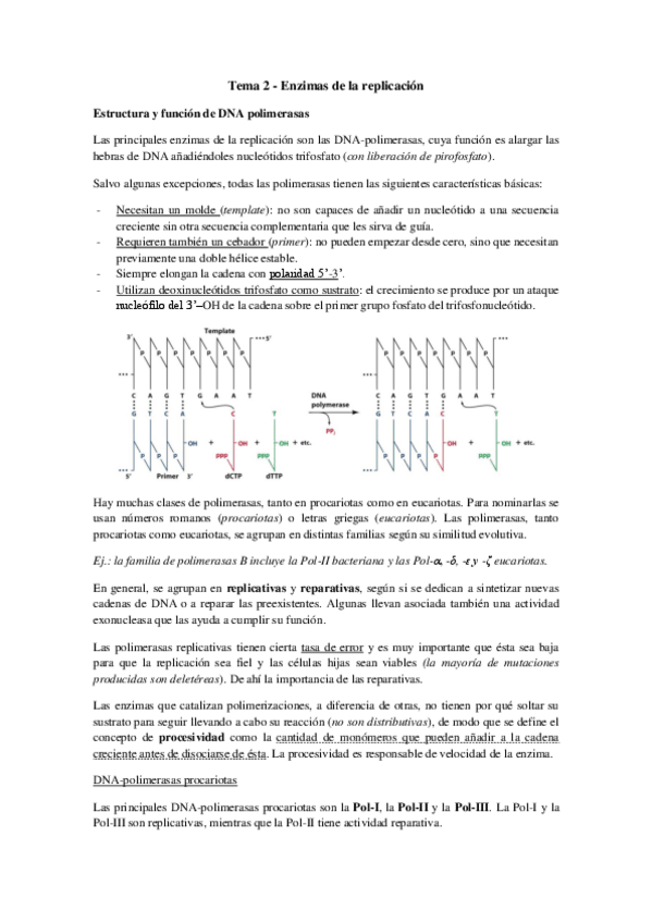 Miniatura del documento Tema 2 - Enzimas de la replicación.pdf