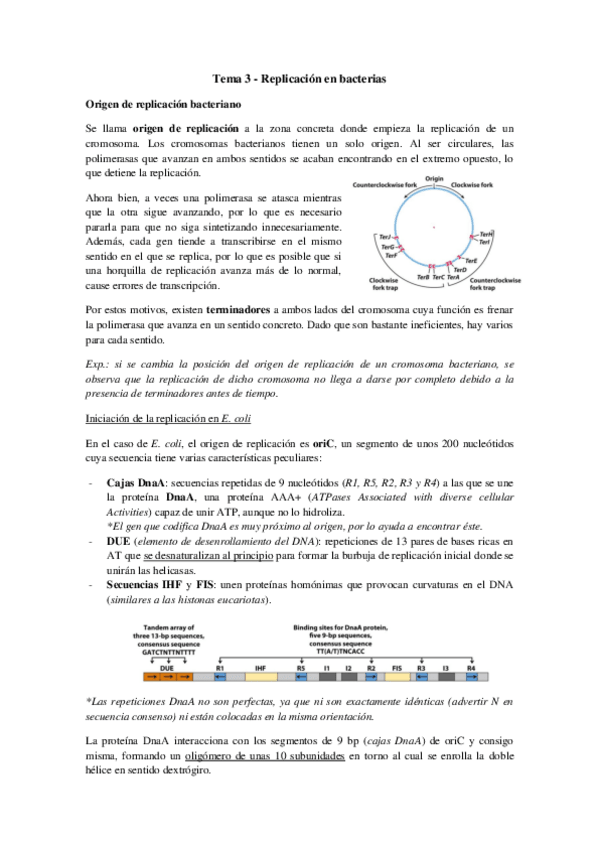 Miniatura del documento Tema 3 - Replicación en bacterias.pdf