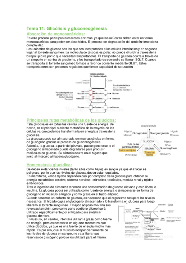 Miniatura del documento tema-11.pdf