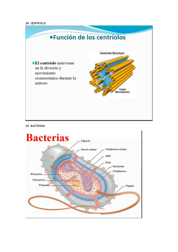 Miniatura del documento VISU-COMPLETO.pdf