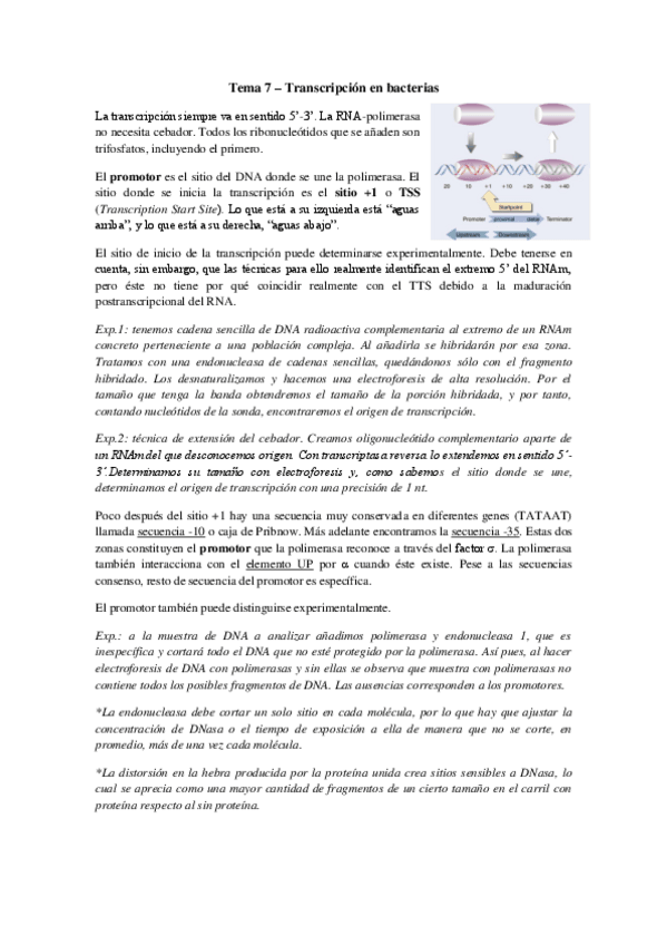Miniatura del documento Tema 7 - Transcripción en bacterias (I).pdf