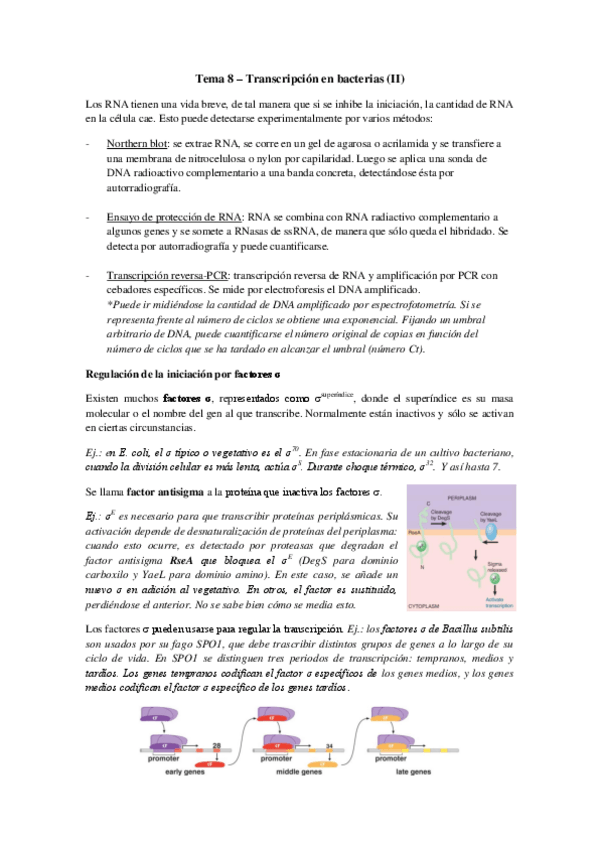 Miniatura del documento Tema 8 - Transcripción en bacterias (II).pdf