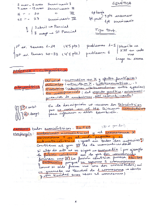 Miniatura del documento PRACTICAS-DE-GENETICA.pdf
