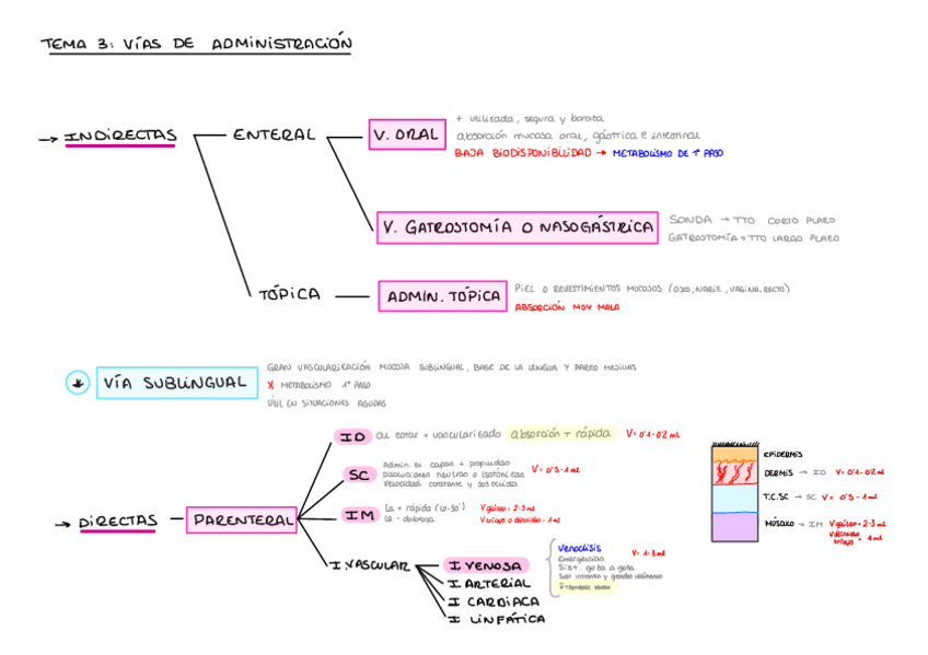 Miniatura del documento Farmacologia-Esquema-T-3.pdf