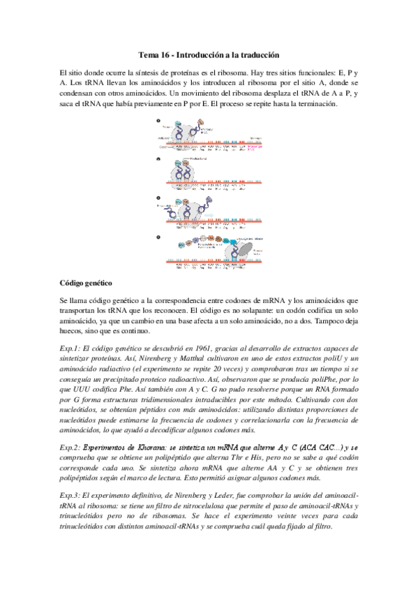 Miniatura del documento Tema 16 - Introducción a la traducción.pdf