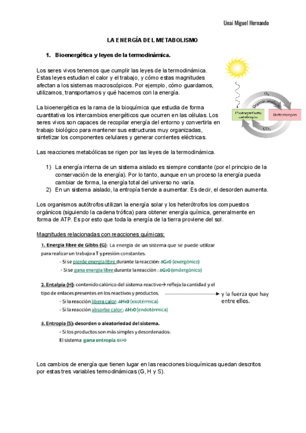 Miniatura del documento 11. La energía del metabolismo.