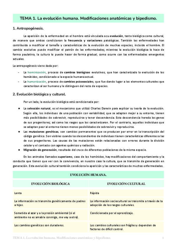 Miniatura del documento Historia