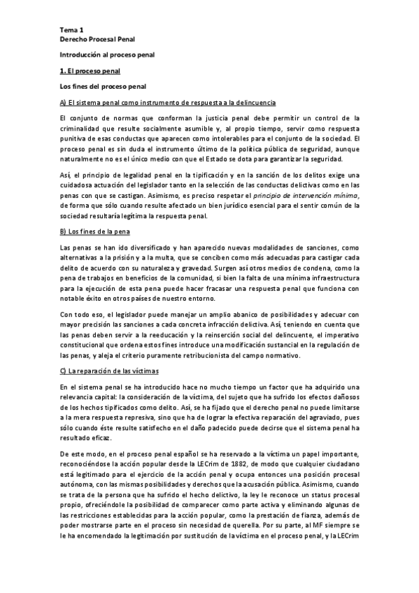 Miniatura del documento Tema-1-Procesal-Penal-pdf.pdf