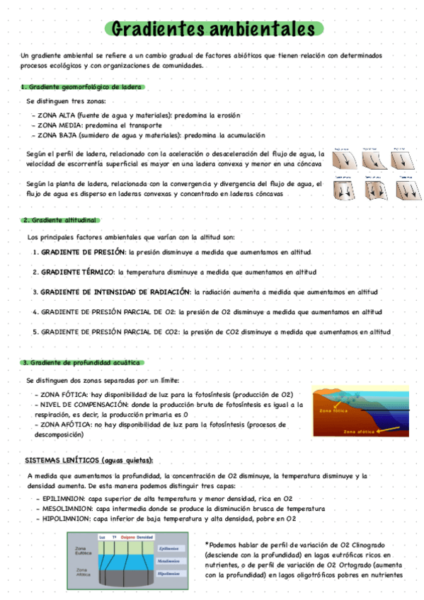 Miniatura del documento Gradiente-Ambiental.pdf