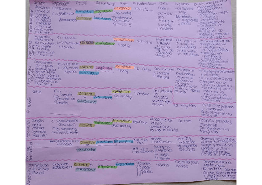 Miniatura del documento Tabla-caballos.pdf