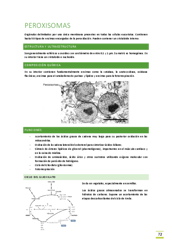 Miniatura del documento Tema-10-Peroxisomas.pdf