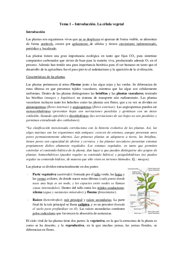 Miniatura del documento Tema 1 - La célula vegetal.pdf