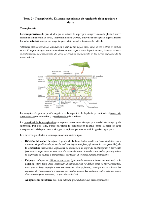 Miniatura del documento Tema 3 - Transpiración y estomas.pdf