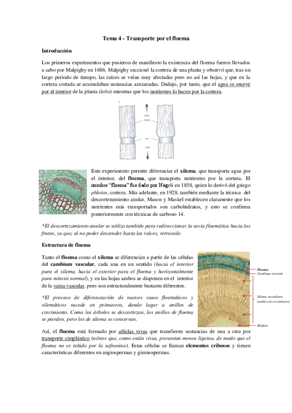 Miniatura del documento Tema 4 - Transporte por el floema.pdf