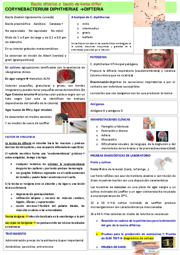 Miniatura del documento Corynebacterium.pdf