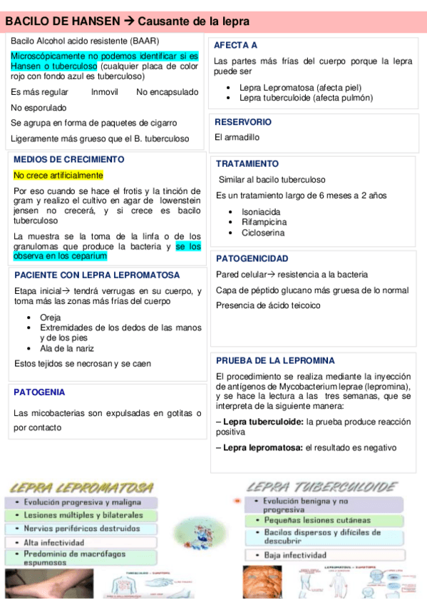 Miniatura del documento Bacilo-de-Hassen.pdf