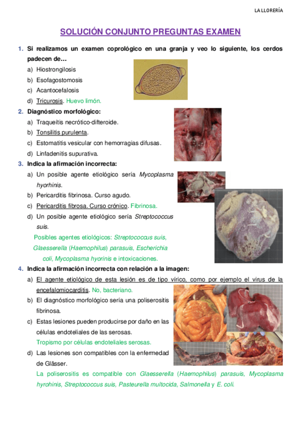 Miniatura del documento SOLUCION-CONJUNTO-PREGUNTAS-EXAMEN.pdf