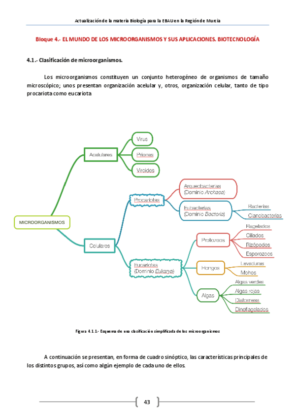 Miniatura del documento apuntes-biotecnologia-ebau.pdf